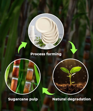 [500ct] 10" Compostable Bagasse Plates | Round | Natural