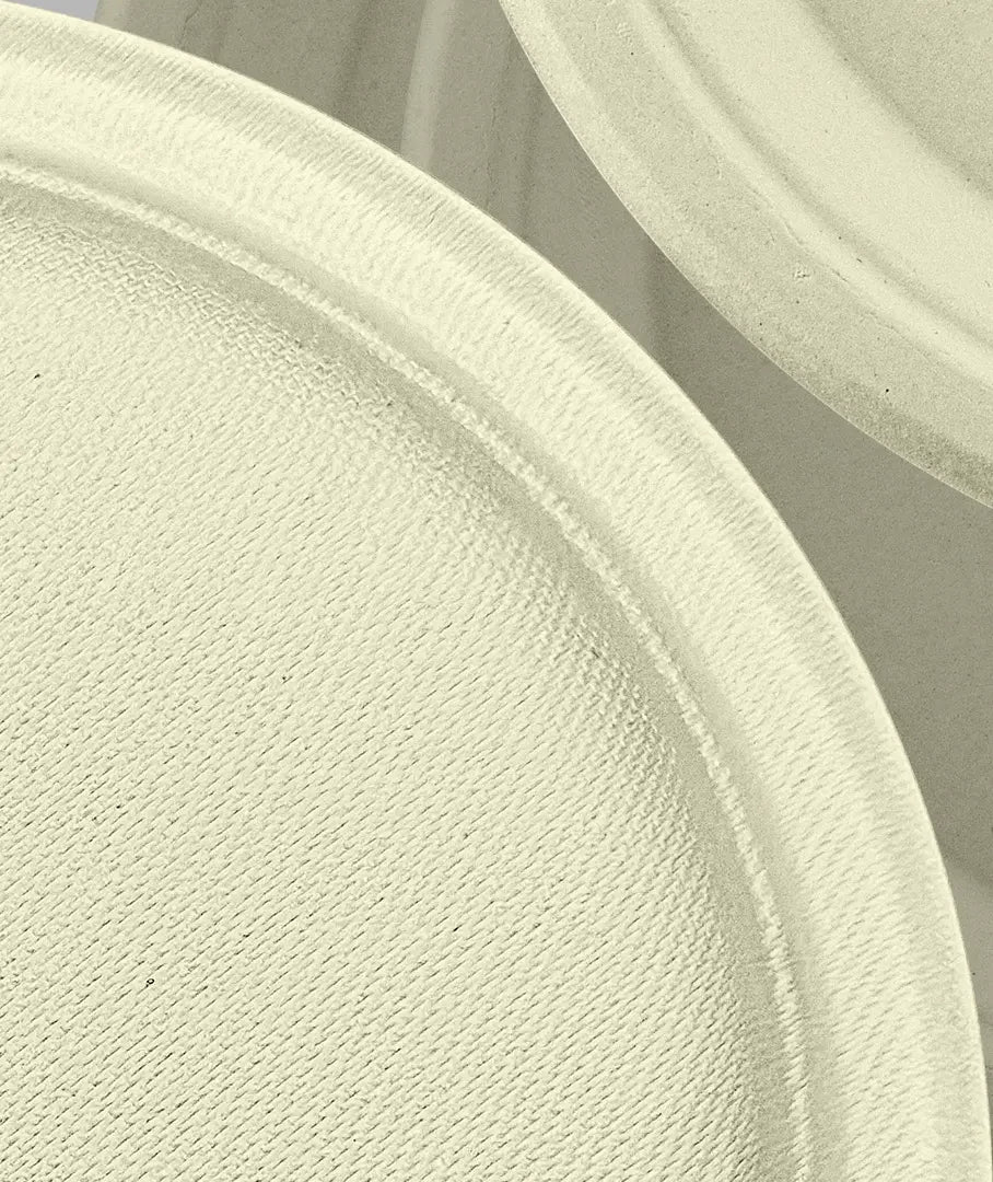 [500ct] 10" Compostable Bagasse Plates | Round | Natural