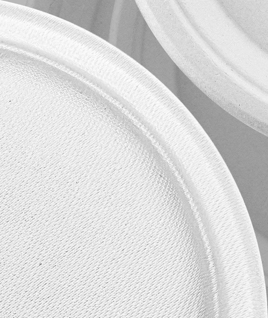 [500ct] 10" Compostable Bagasse Plates | Round | White