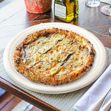 [500ct] 10" Compostable Bagasse Plates | Round | White