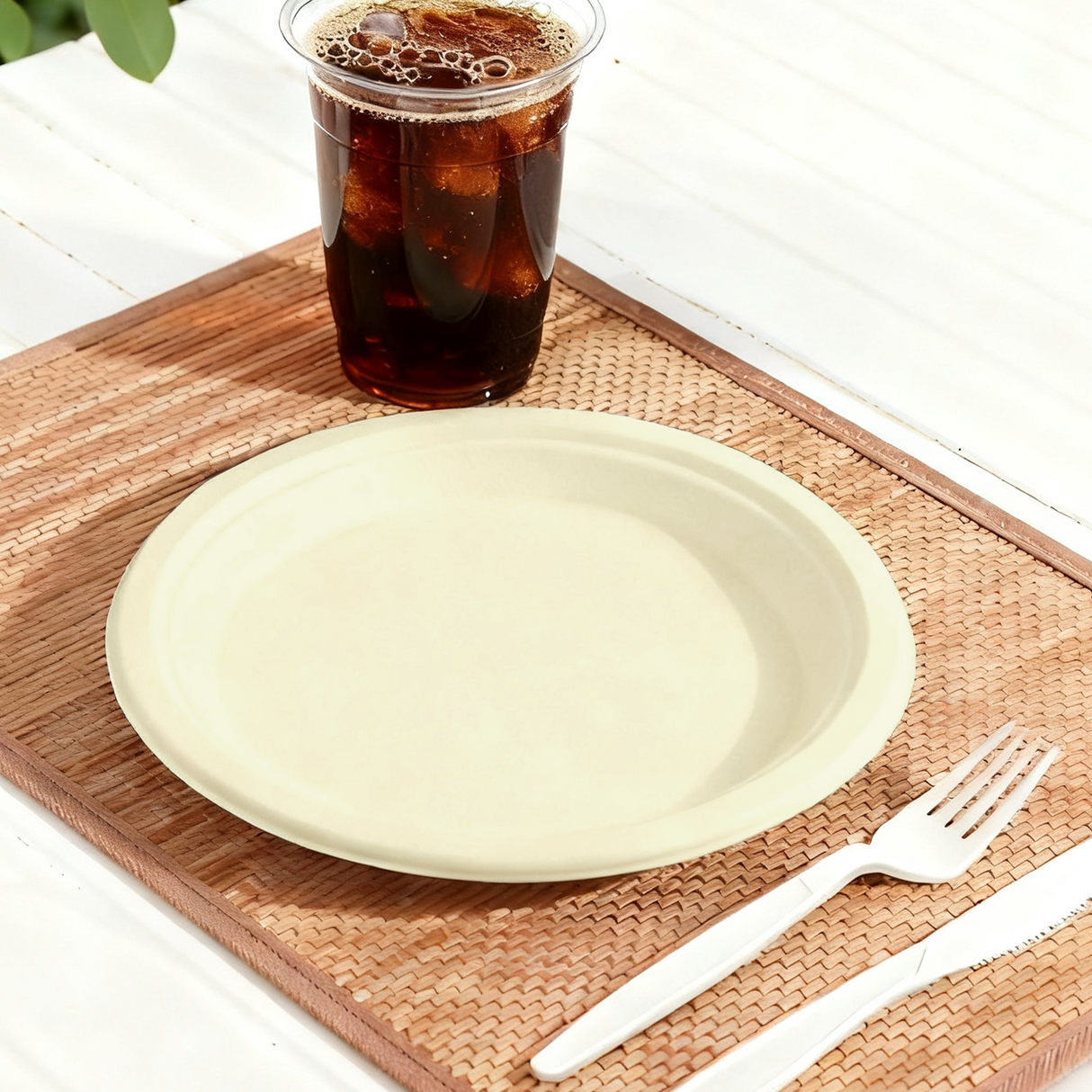 [500ct] 9" Compostable  Bagasse  Plates | Round | Natural