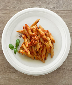 [500ct] Danube Blue 10" Compostable  Bagasse Plates | Round | White