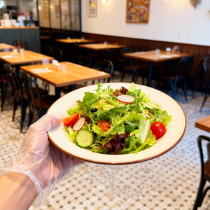 [1,000ct] Disposable CPE Gloves | X-Large | Clear