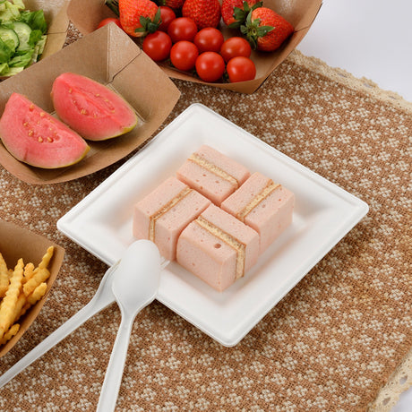 [500ct] 6"x6" Eco-Friendly Bagasse Plates | Square | White