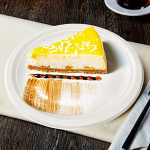 [500ct] 9" Compostable Bagasse Plates | Round | White