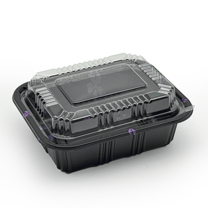 Square Take-out Containers