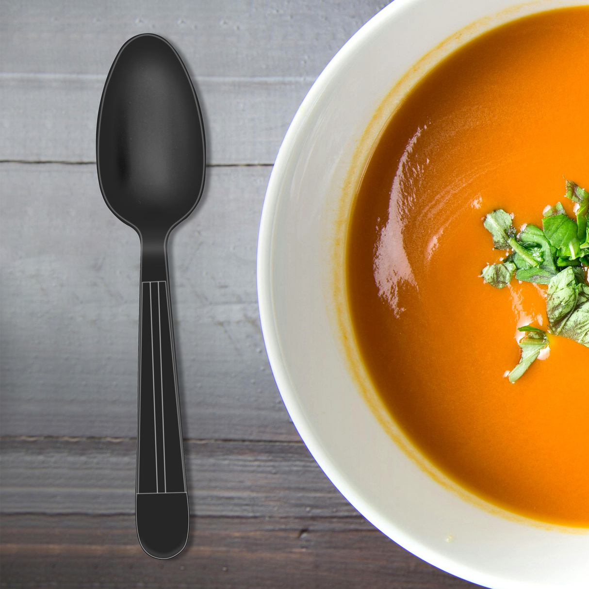 [1,000ct] PP Plastic Heavy Weight Tea Spoons | Black