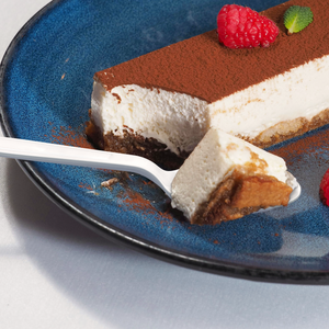 [600ct] PS  Plastic Heavy Weight  Tea Spoons | White